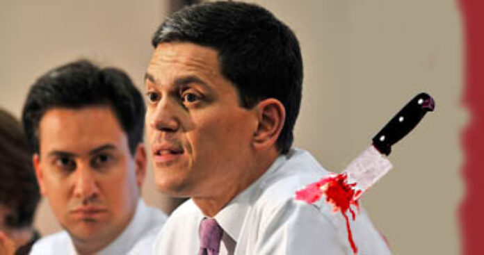 Ed and Dave Miliband