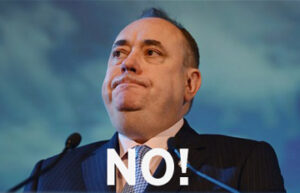 NO Salmond