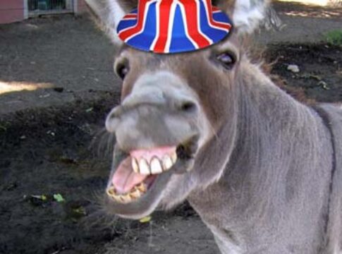 Donkey Britain eu referendum