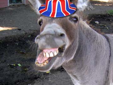 Donkey Britain eu referendum
