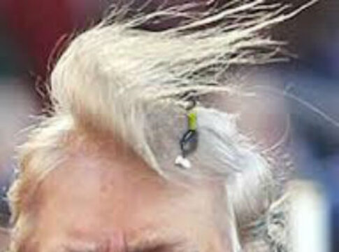 chump toupee wind