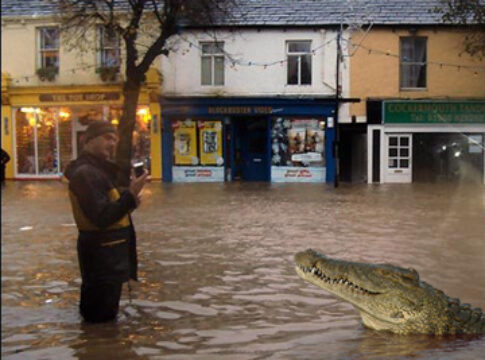 crocodile_cockermouth-main-st-at-3-00