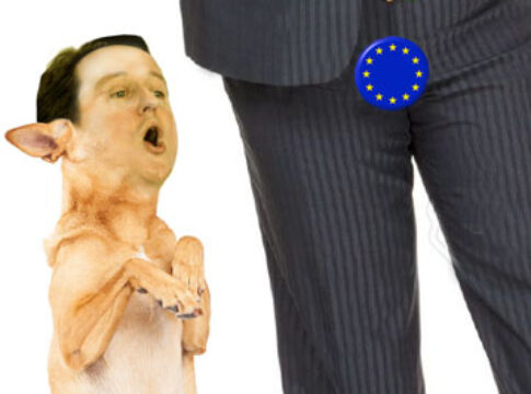 EU DEAL