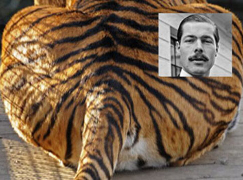 tiger bottom lord lucan