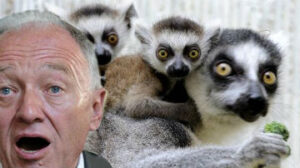 madagascar_lemurs_ken