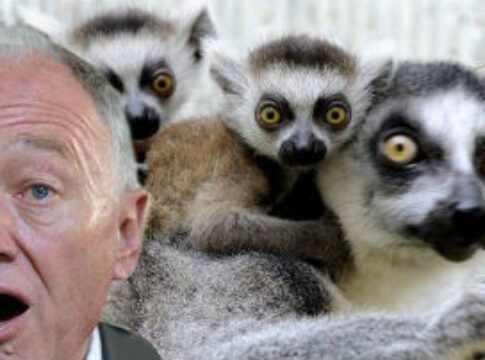 madagascar_lemurs_ken