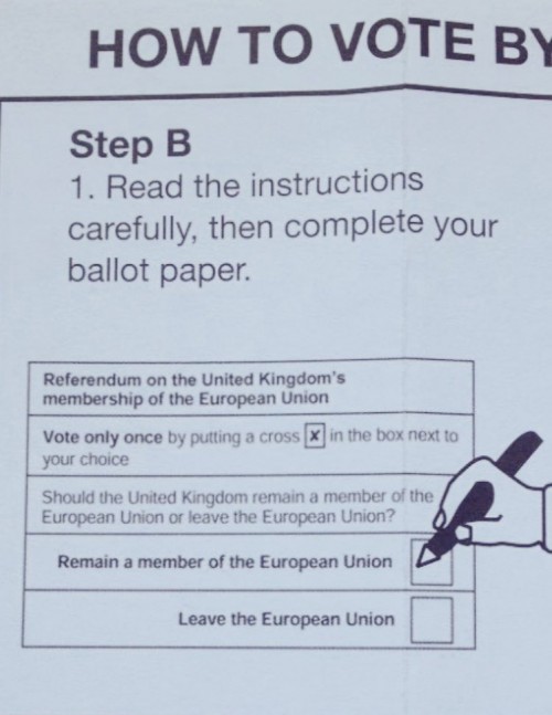 how to vote