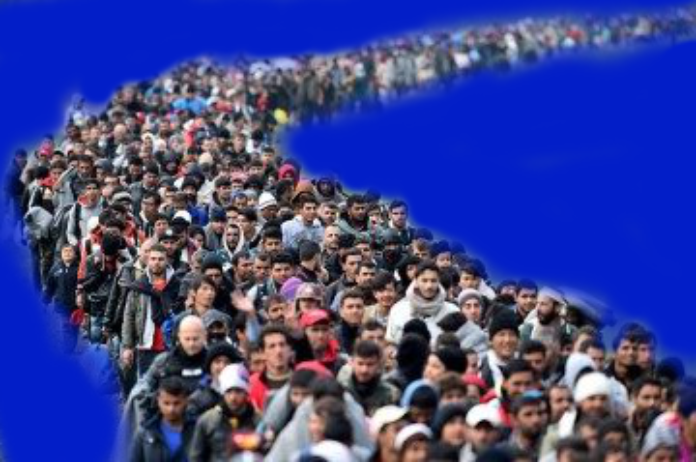 immigration train eu migrants