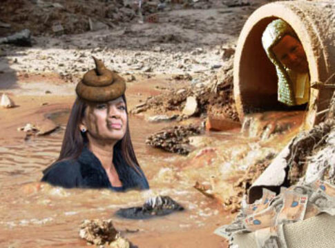 gina miller treachery treason