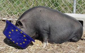 pig-trough-eu