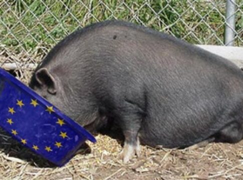 pig-trough-eu