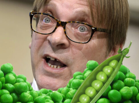 Guy-Verhofstadt-peas