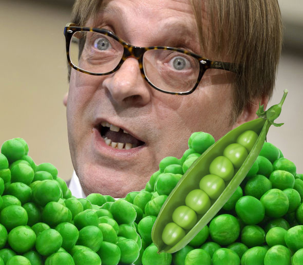 Guy-Verhofstadt-peas