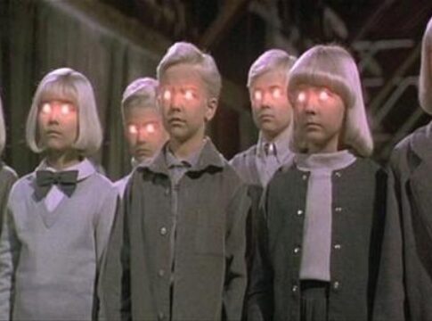 brainwashed millenial puritanical marxists