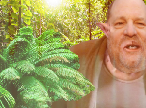 weinstein jungle celebrity