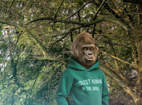 COOLEST HUMAN JUNGLE