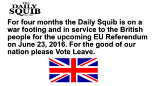 daily squib eu referendum war footing