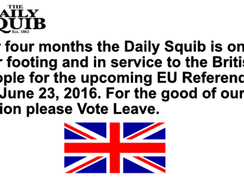 daily squib eu referendum war footing