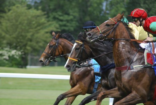 racecourse_horses_