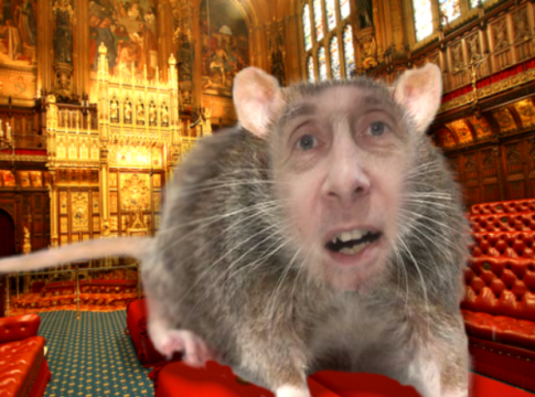 House-of-Lords-filthy-sewer-rat