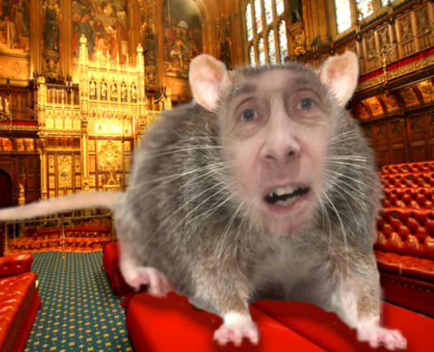 House-of-Lords-filthy-sewer-rat