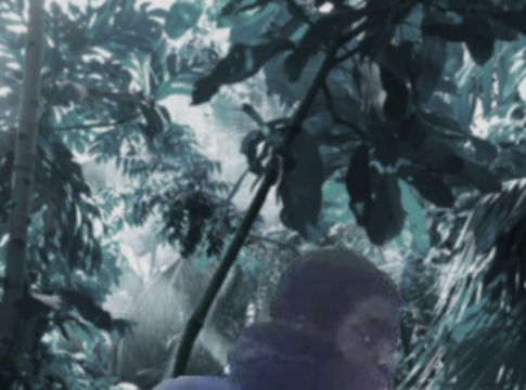 Croydon zombie knife