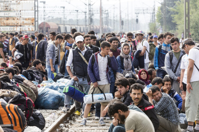 mass migration europe globalists