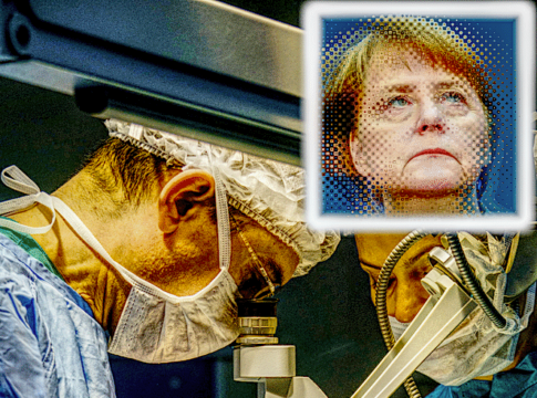 merkel brain humour injection