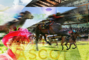 ASCOT racing