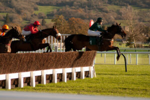 Cheltenham Open Festival