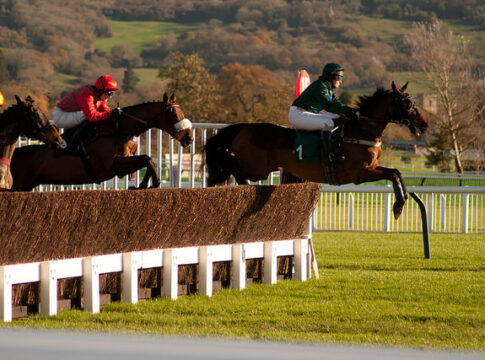 Cheltenham Open Festival