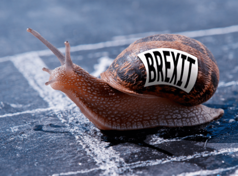 BREXIT SNAIL