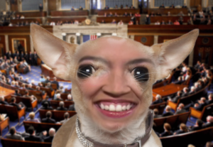 ocasio-cortez-congress-chihuahua