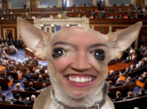 ocasio-cortez-congress-chihuahua