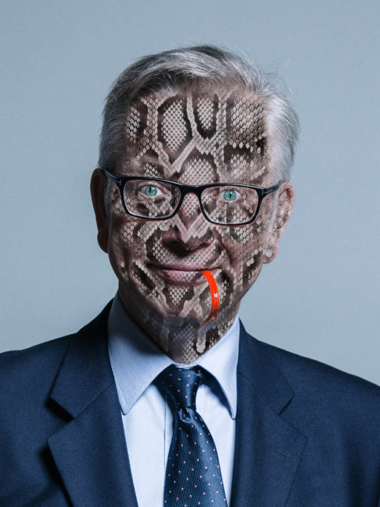 Snake Gove Getting Ready to Pounce