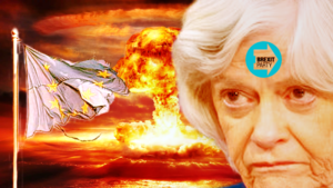 ann widdecombe brexit party