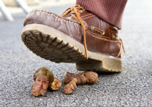 theresa may dog shit