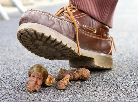 theresa may dog shit