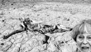 theresa may flogging dead horse