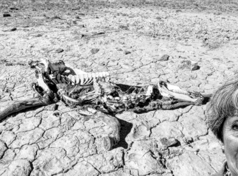 theresa may flogging dead horse