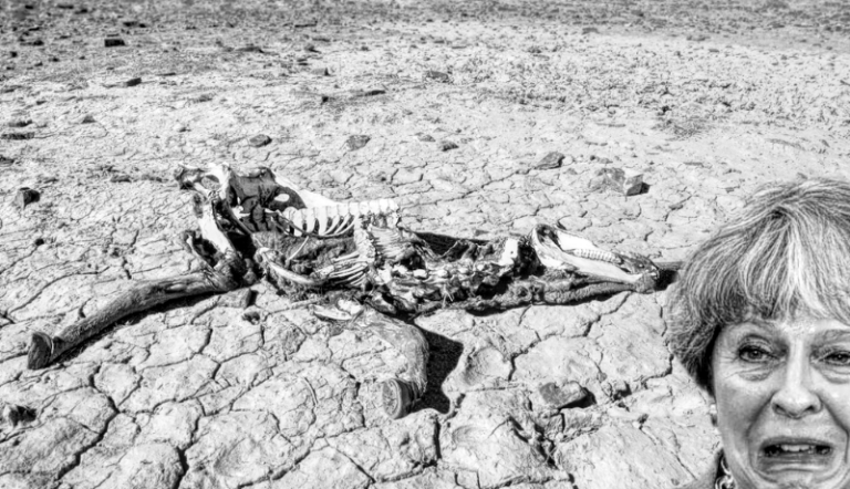 Dead Horse Unable to Flog Dead Horse