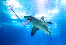 Underwater selfie shark