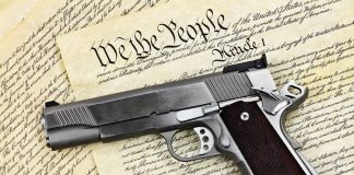 Hand Gun and Constitution CIVIL WAR