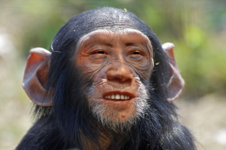 World’s First Ever Human-Monkey Hybrid Grown in Lab in China