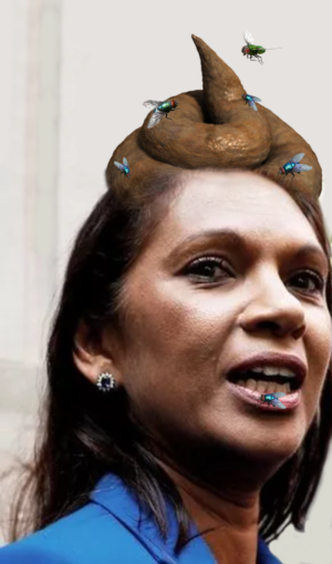 Gina Miller Singh