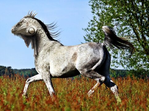 horse-lizard