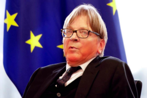 verhofstadt Haemorrhoids