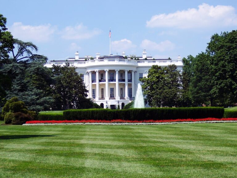 2020 Election Update: Who’ll Be Our Next President?