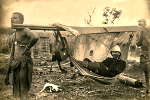 prince harry jungle celeb