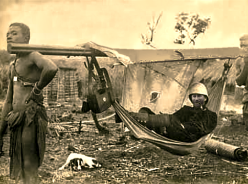 prince harry jungle celeb